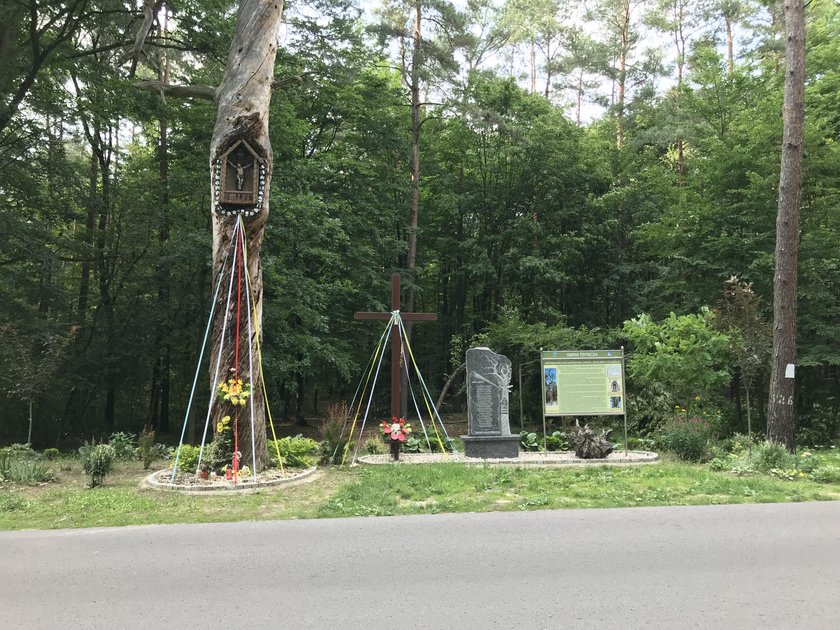 Wszyscy giną w tajemniczym lesie!