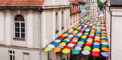 Miasto zawiesiło kolorowe parasolki nad ulicą. Radny PiS wietrzy spisek