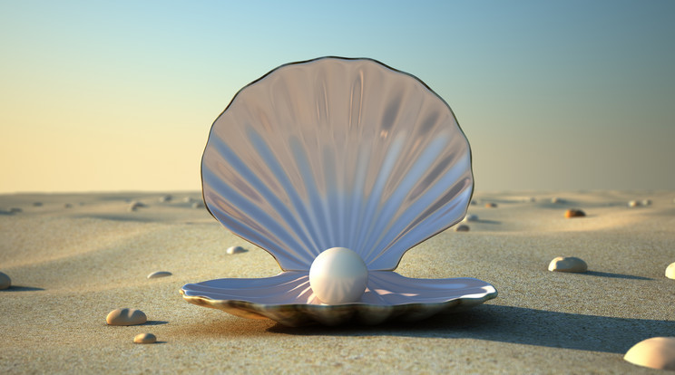 Mesebeli kagyló a homokos tengerparton. Még Vénusz istennő is megszülethet egy kagylóból / Fotó: Getty Images