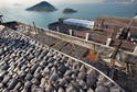 CHINA HONG KONG SHARK FIN ROOF TOP DRYING