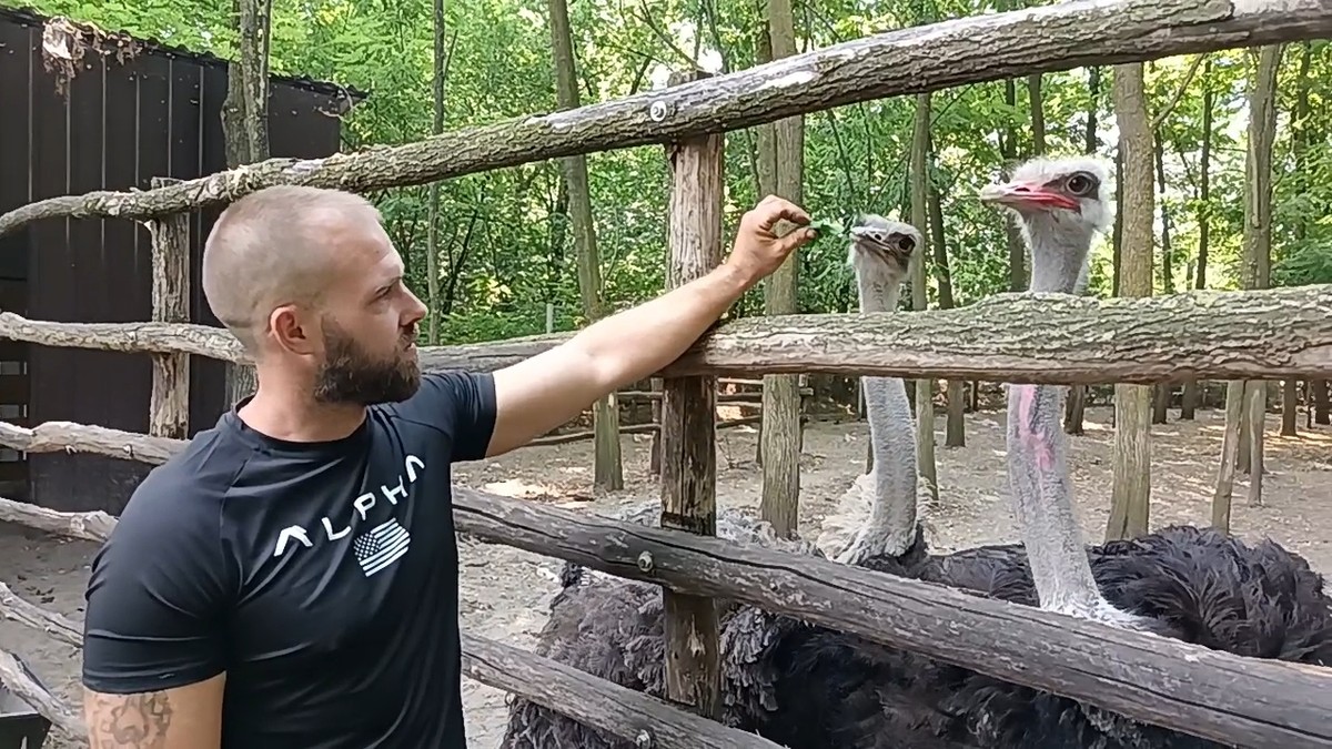 "Jako vole puno zelenog, a dodatak ishrani mogu biti jabuke, zelena salata ili kupus."