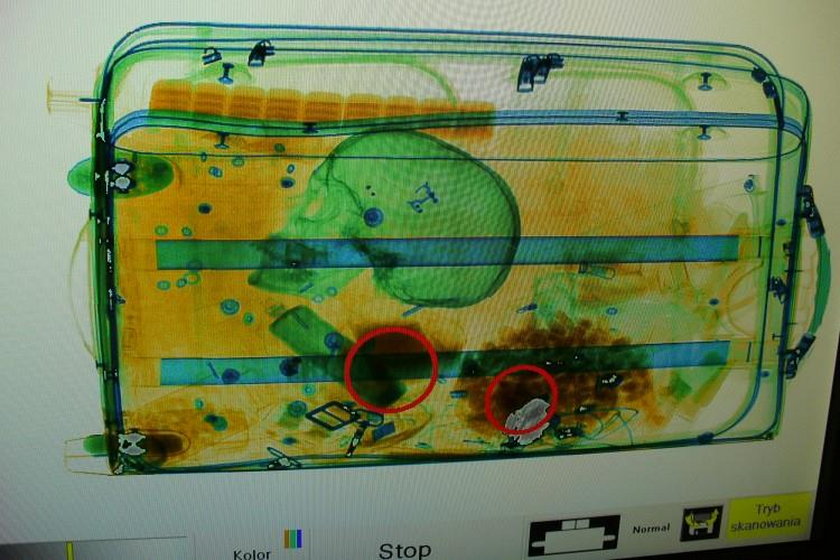 Celnicy z Goleniowa znaleźli ludzką czaszkę w walizce 