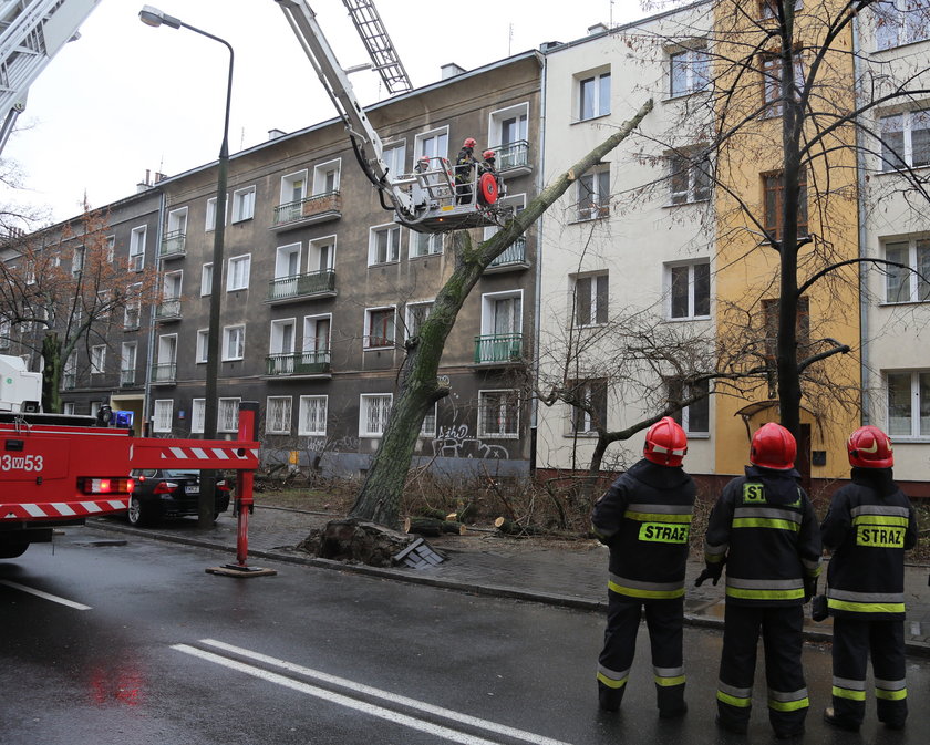 Drzewo wbiło się w blok. Potrzebna była interwencja strażaków.