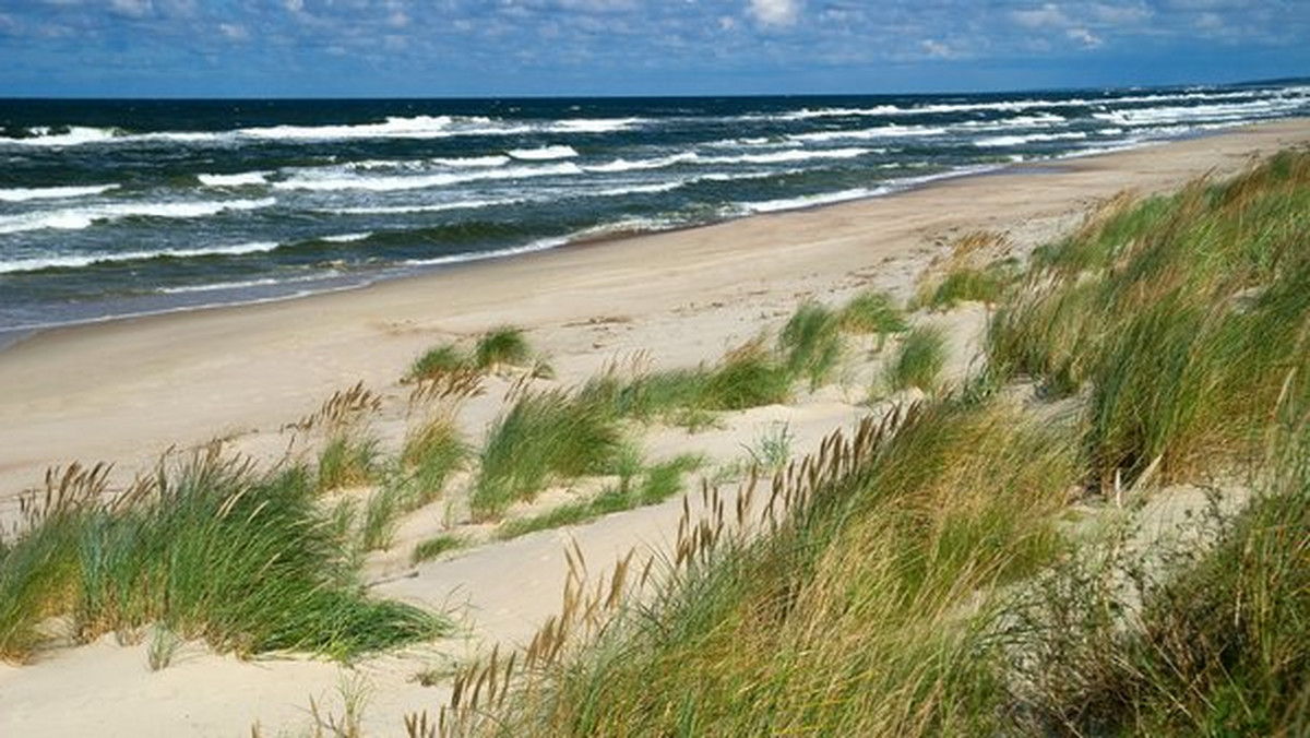 Ekolodzy z WWF Polska i mieszkańcy Krynicy Morskiej krytycznie oceniają pomysł przekopu Mierzei Wiślanej. Argumentują, że inwestycja źle wpłynie na środowisko i nie przyniesie obiecywanych ekonomicznie korzyści.