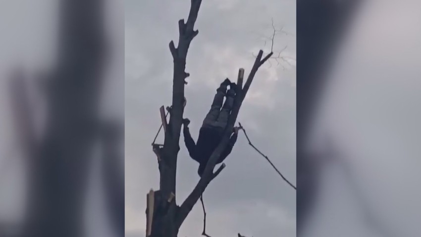 Mića Akrobata iz sela Sikirica kod Paraćina