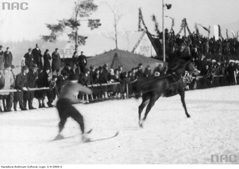 Zawody w skijoringu