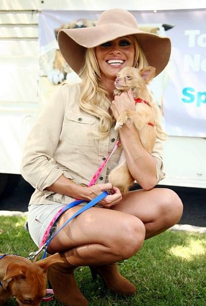 Pamela Anderson podczas akcji PETA na rzecz bezdomnych psów w LA