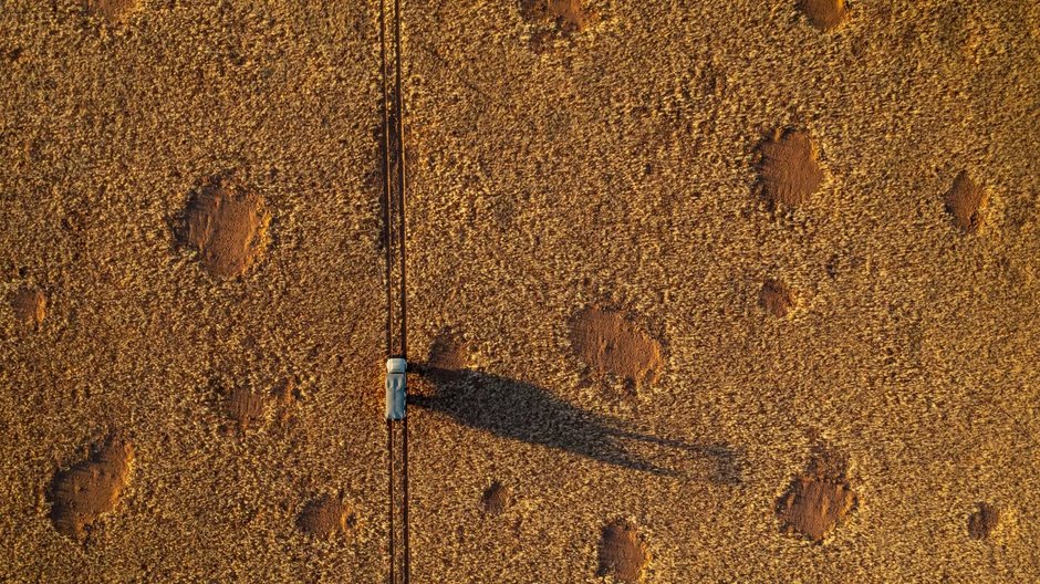 Pustynia Namib: jak powstają puste kręgi między trawami? fot. Martin Harvey/Getty Images