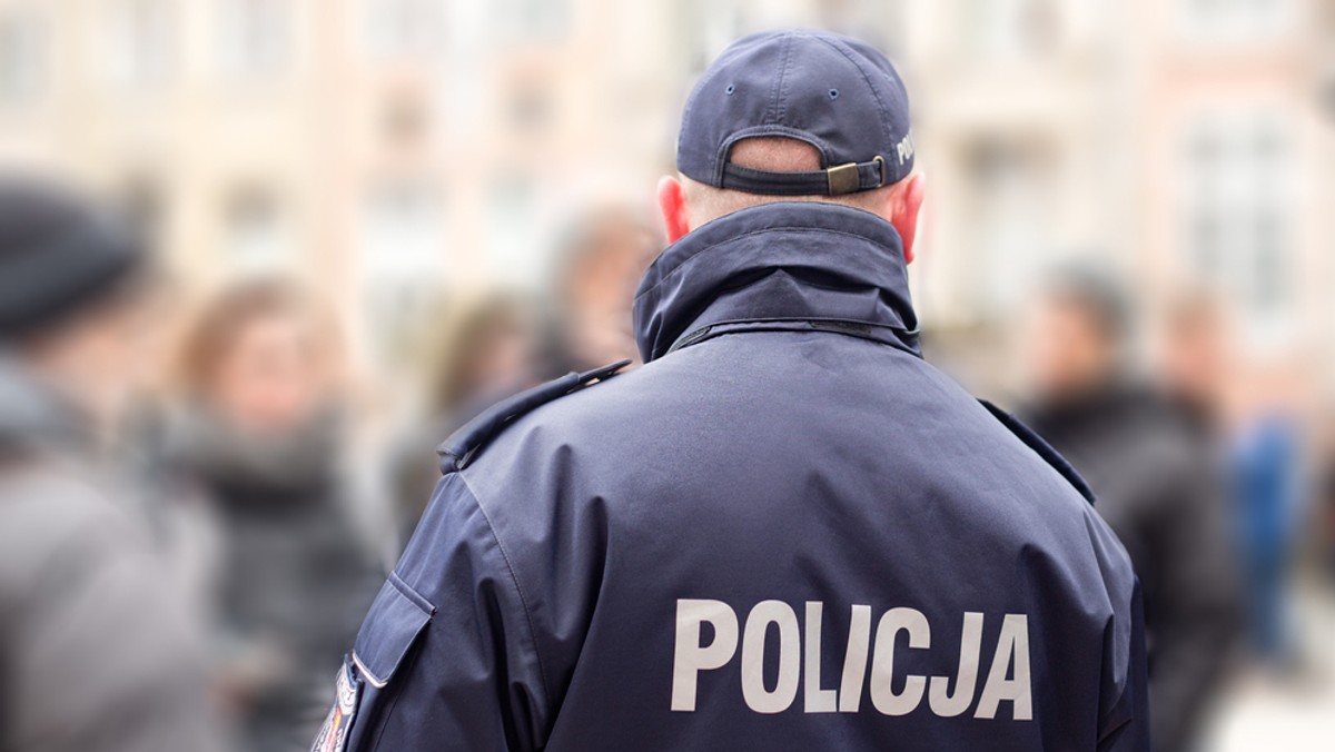 Mniej kradzieży, włamań, rozbojów, bójek, pobić i uszkodzeń – wynika ze statystyk Komendy Wojewódzkiej Policji w Poznaniu. W porównaniu z 2016 rokiem, zwiększyła się wykrywalność przestępstw.