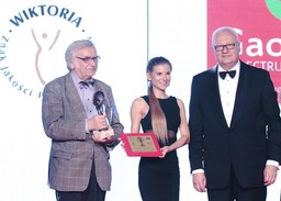 Czy fajerwerki mogą być ciche i ekologiczne?