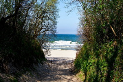 Odpocznij nad Bałtykiem – te hotele są blisko plaży. Śniadanie i obiadokolacja w cenie