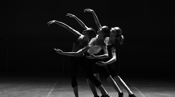 A Táncpedagógusok Országos Szövetsége ingyenes táncórákat hoz el az ország tizenegy városába /Fotó: Pexels