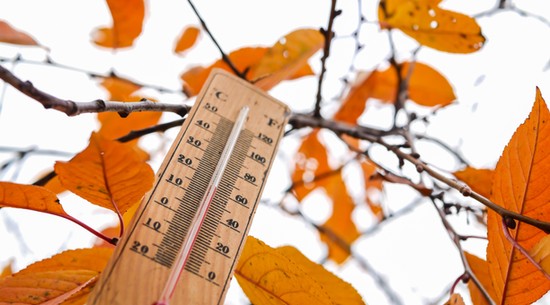 Nad Polską zmienia się układ pogodowy. Co to oznacza? Oto prognoza pogody na środę, 29 października 2025