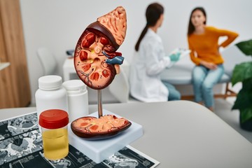 véres vizelet, haeumaturia, vesekő, gyulladás, fertőzés, daganat, vérzészavar, magas vérnyomás, vese