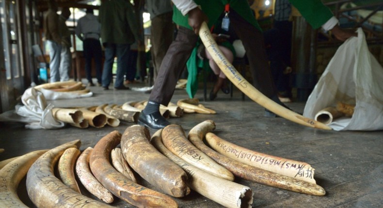 The CITES conference aims to tighten rules on trade in elephant ivory and other endangered animal and plant species