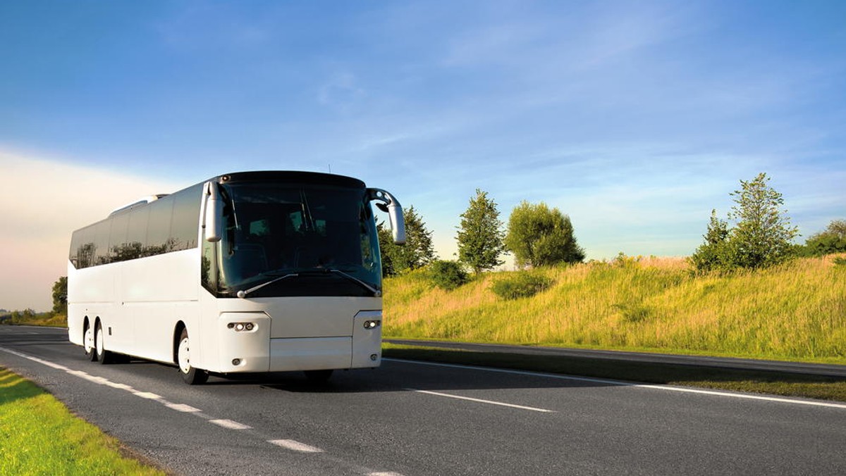 Służba celna wprowadza możliwość rezerwacji godziny przekroczenia granicy, za pomocą elektronicznego systemu odpraw eBookingBUS. Nowość polega na uruchomieniu zakładki "przewóz dzieci i młodzieży".