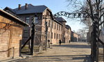 Nowa wystawa w Auschwitz 