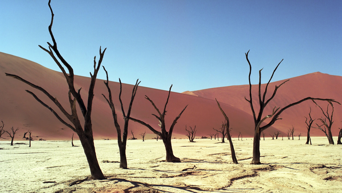 Dead Vlei