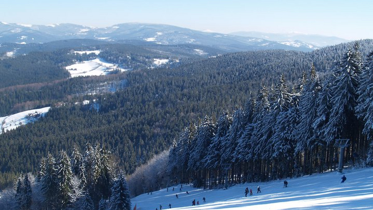 Stożek Wielki (Beskid Śląski)