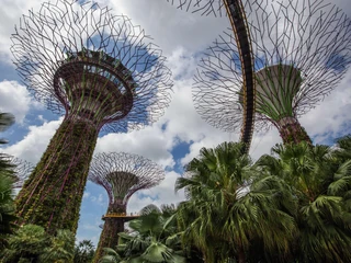 Supertree Grove is a uniquely designed vertical garden made