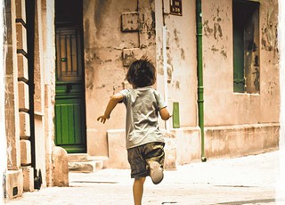 Konkurs: 'Drzewo migdałowe'