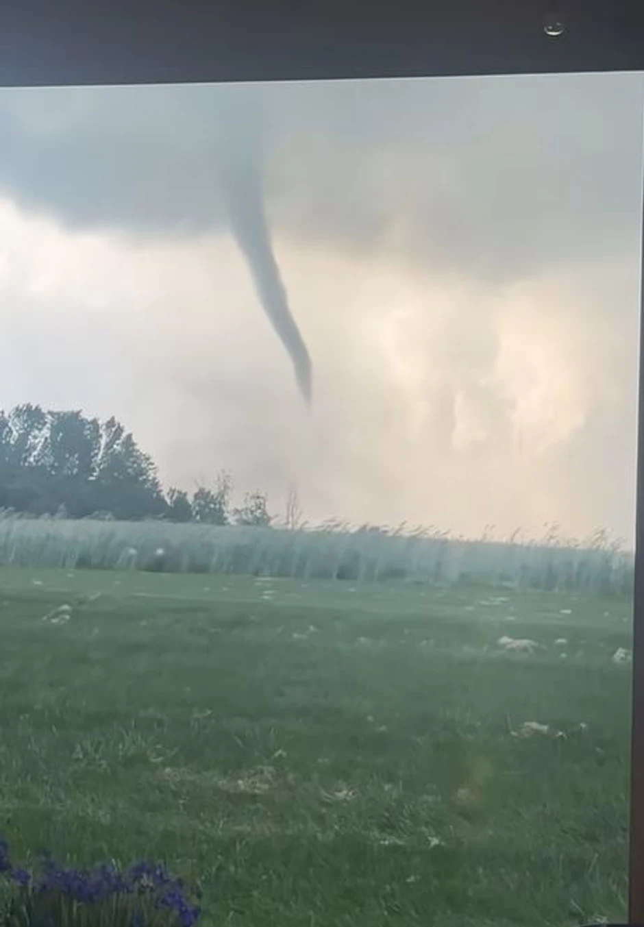 Tornado