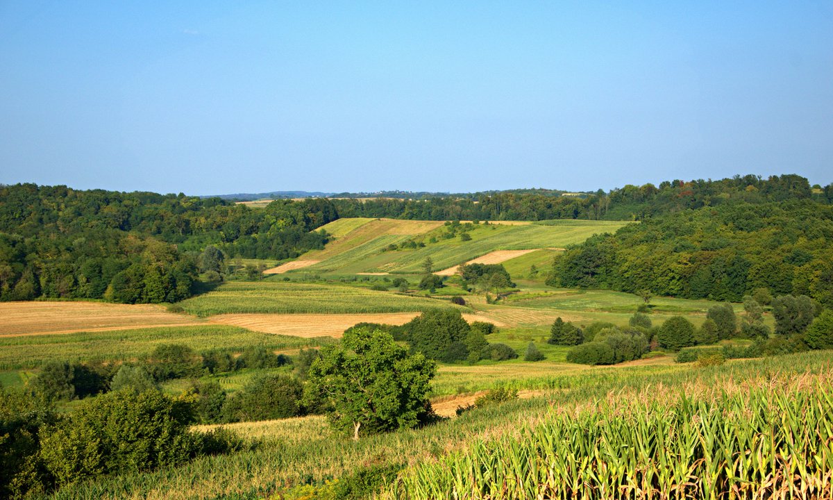 Pomysł na weekend w Polsce? Sprawdź co do zaoferowania ma Roztocze