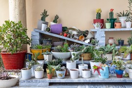 Ako imate ove predmete u kući, ODMAH IH BACITE! Prema feng šuiju DONOSE NESREĆU i negativnu energiju u vaš dom