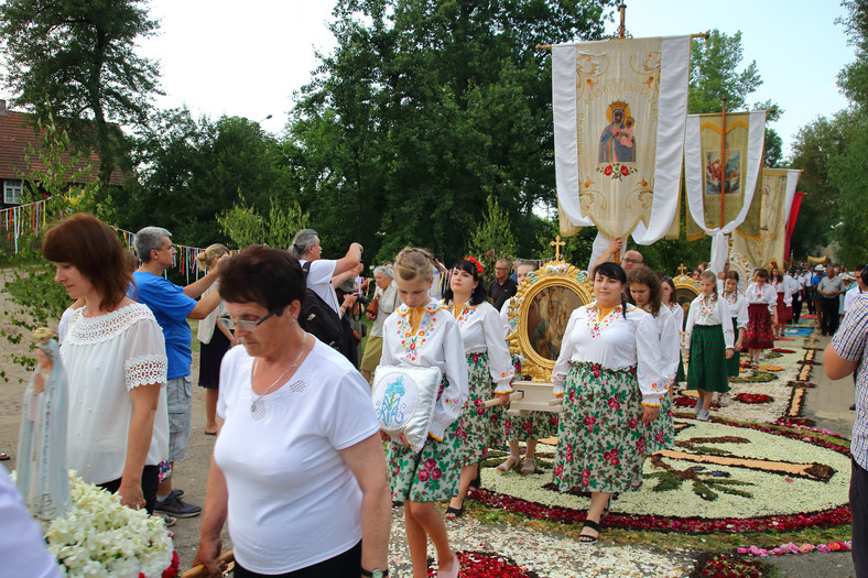 Tradycja dywanów kwiatowych na procesje Bożego Ciała, Spycimierz