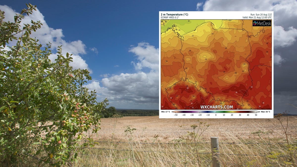 Pogoda na dziś, 21 sierpnia. Upał zacznie ustępować, ale burze pozostaną