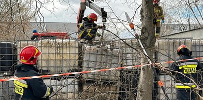 Tajemnicze pojemniki odkryte na warszawskim Targówku. "Ostry chemiczny zapach" [ZDJĘCIA]