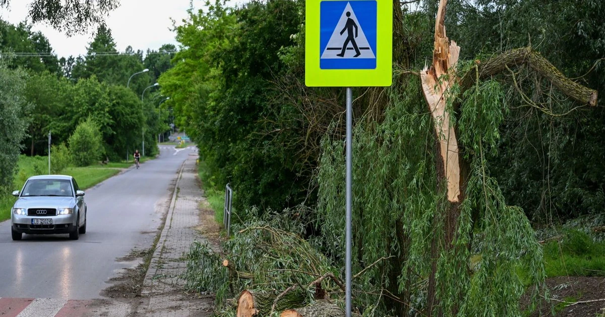 Intensywne burze nad Polską. Ranny 11-letni chłopiec