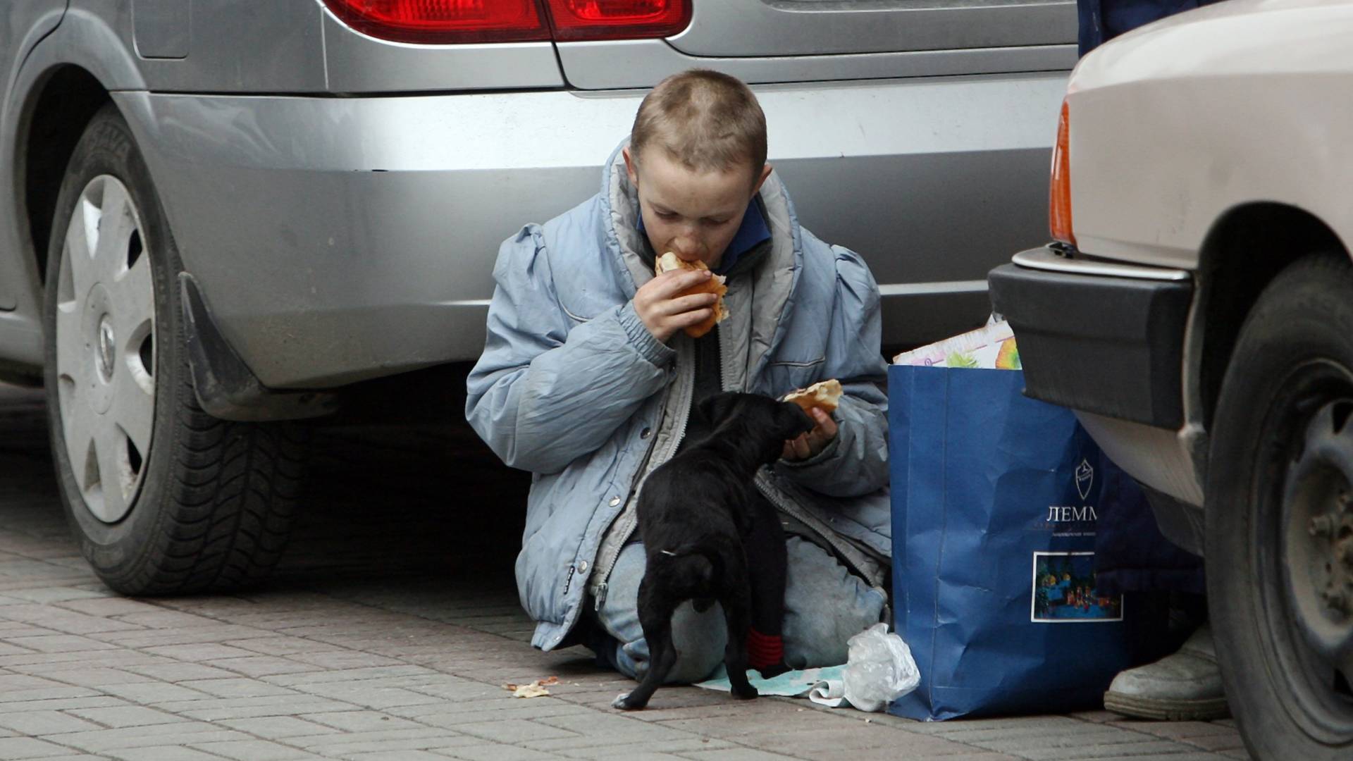 Priča o dečaku koji je dve godine živeo sa psima na ulicama Moskve ima lep kraj