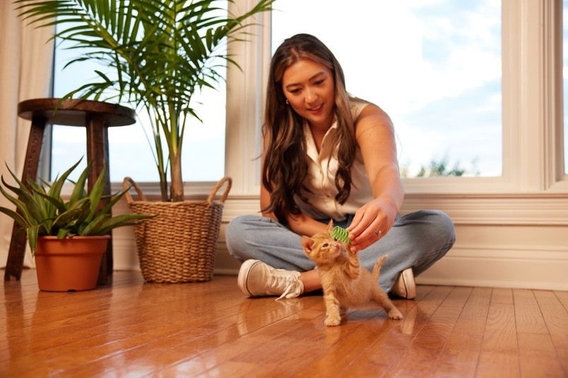 Dzień Kota: 5 faktów o kotach, które mogą cię zaskoczyć