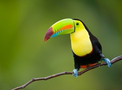 Modna ekoturystyka. Gdzie jechać? Co zobaczyć?