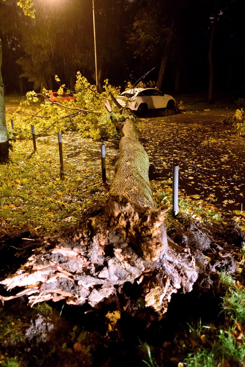 Dwie osoby zginęły, prawie milion bez prądu. Wichury spustoszyły kraj