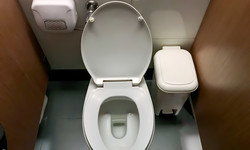 Czy można siadać na deskę w publicznej toalecie?
