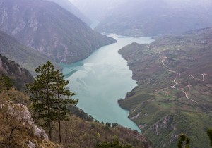 Tara
