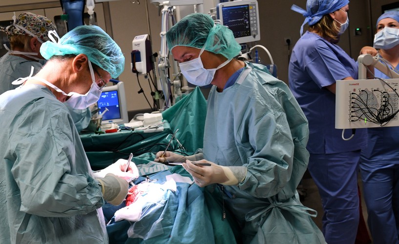 OPERACJA NA MÓZGU. TAK LECZY SIĘ PADACZKĘ LEKOOPORNĄ W SZCZECINIE