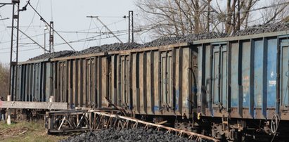 Ukradli dwa worki koksu i zapłacą 20 zł grzywny? Prokuratorski finał sprawy dwóch policjantów ze Sławkowa