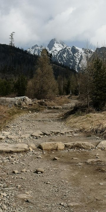 Widok na Łomnicki Szczyt po drodze na Hrebienok