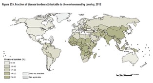 Zdewastowane środowisko zabija już co czwartą osobę