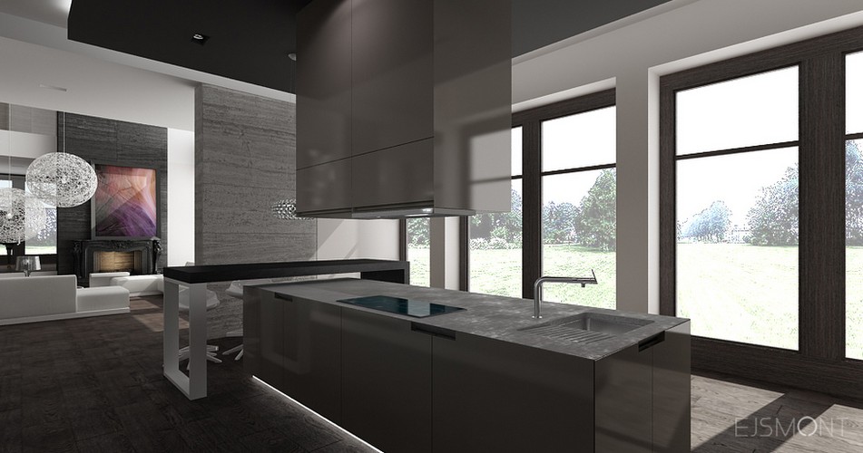 Nowoczesna rezydencja - projekt Ejsmont