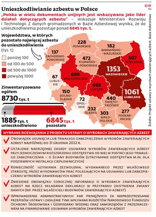 Unieszkodliwienie azbestu w Polsce