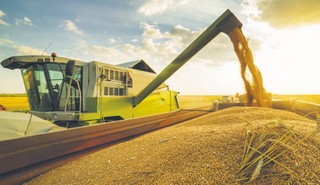 Żywność nie chce tanieć