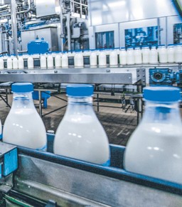 zrób to, a mleko już nigdy nie wykipi z garnka! niezawodny trik babuni