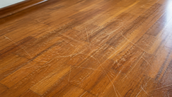 Tehnika od 3 minuta za obnovu izgrebanog parketa