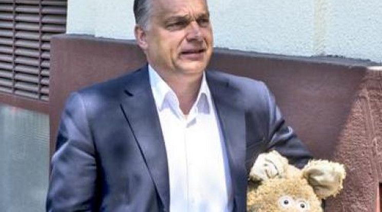 Ezzel a disznóval ment ebédelni Orbán