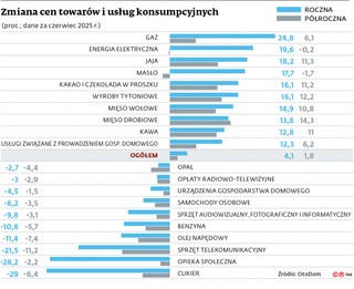 Kategorie, w których w czerwcu 2025 r. notowany był największy wzrost cen w skali 12 miesięcy, w rzeczywistości podrożały jeszcze w ub.r. Podobny trend widać w kategoriach, które spowalniają inflację