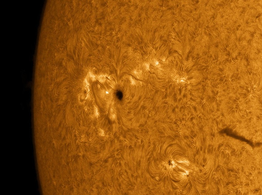 (+) FOTO: Profimedia.rs